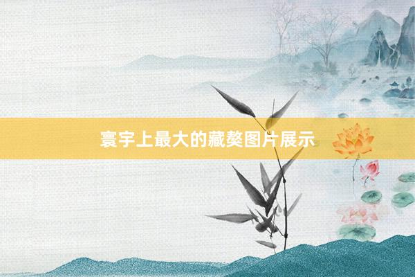 寰宇上最大的藏獒图片展示