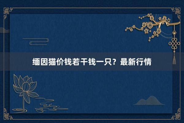 缅因猫价钱若干钱一只？最新行情