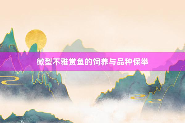 微型不雅赏鱼的饲养与品种保举